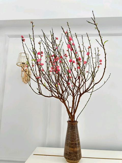 B&igrave;nh Hoa Gốm Sứ FULO