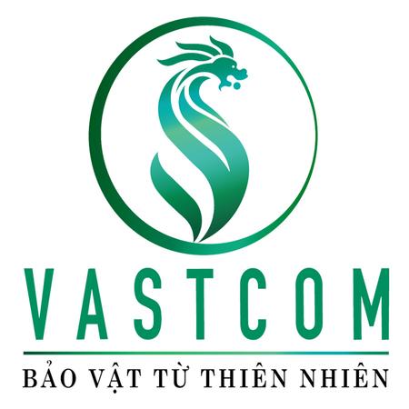 VASTCOM
