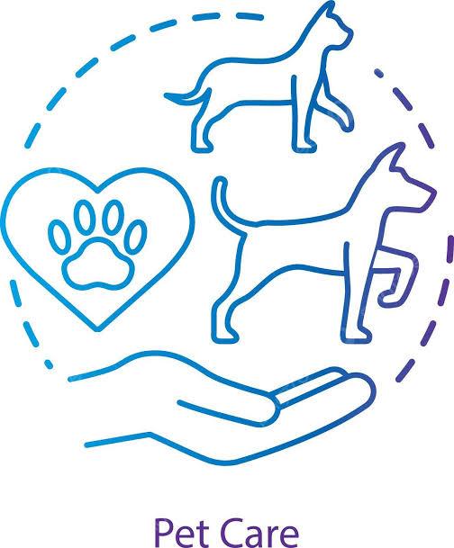 Chăm sóc thú cưng