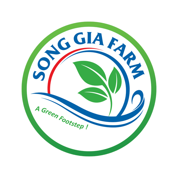 SÔNG GIÁ