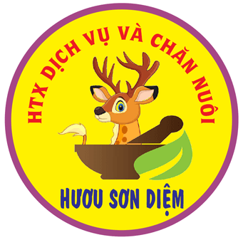 Di sản Hải Thượng - Bản sắc rừng Biên Cương