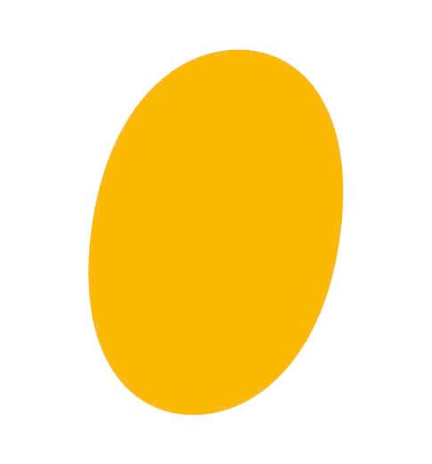 Eggyolk Việt Nam