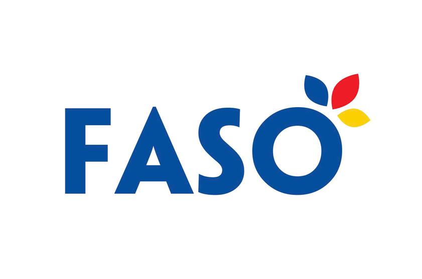 Faso Hàng Tiêu Dùng Hàn Quốc