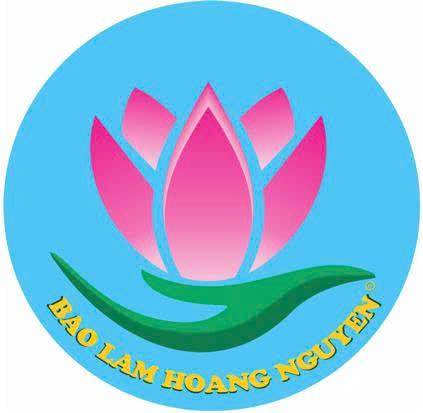 BAO LAM HOANG NGUYEN